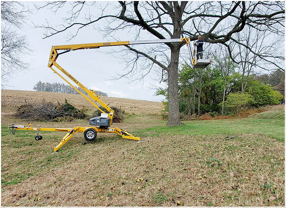 tree trimmer near me, tree services, brush services, lawncare